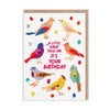 Kort Happy Birthday Birdies