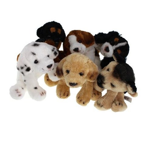 Hundevalper 6ass Tinka