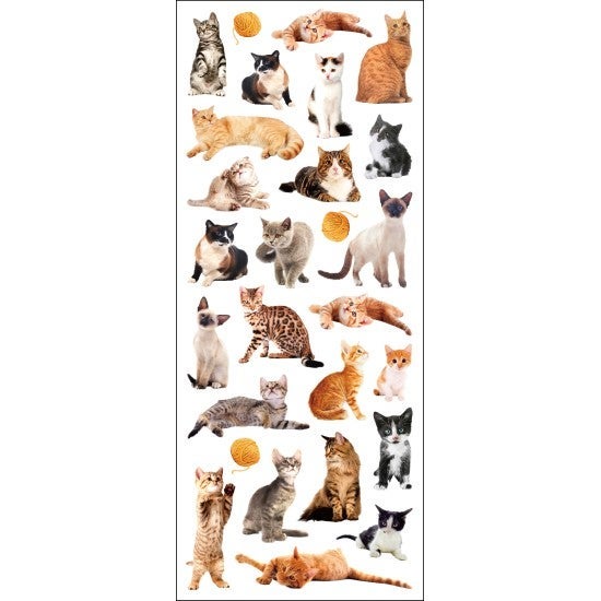 Stickers Katter Tinka