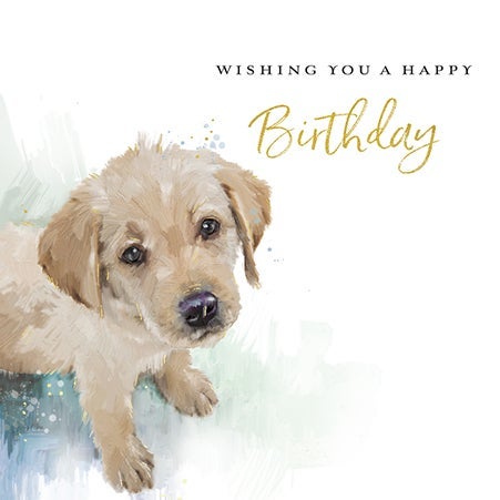 Kort Hund Whishing you a Happy Birthday