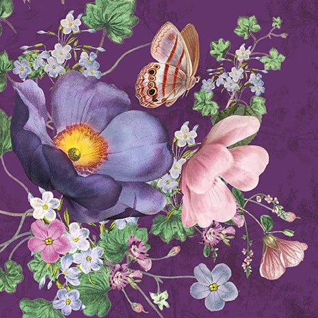 Kort Botanist Violet Meadow