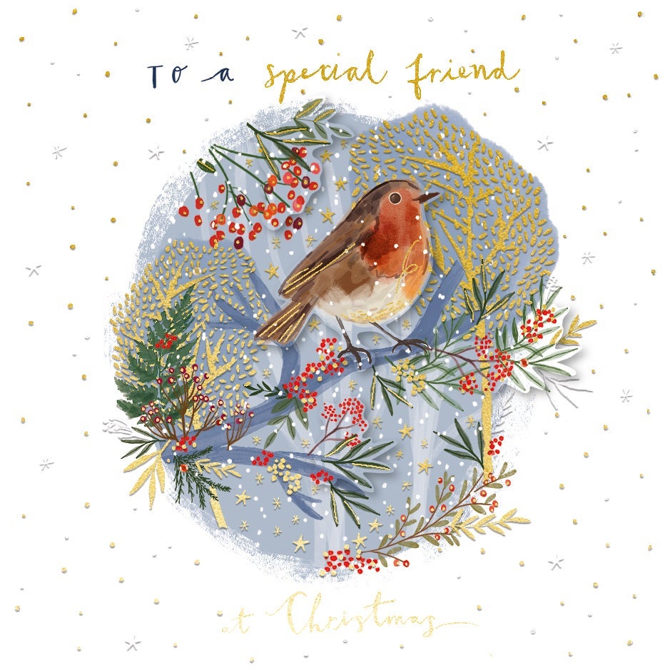 Julekort Special Friend Robin