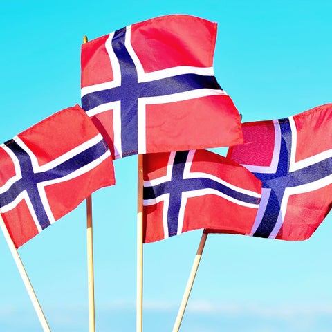 Flagg 15x21cm/stang 55cm nr.1