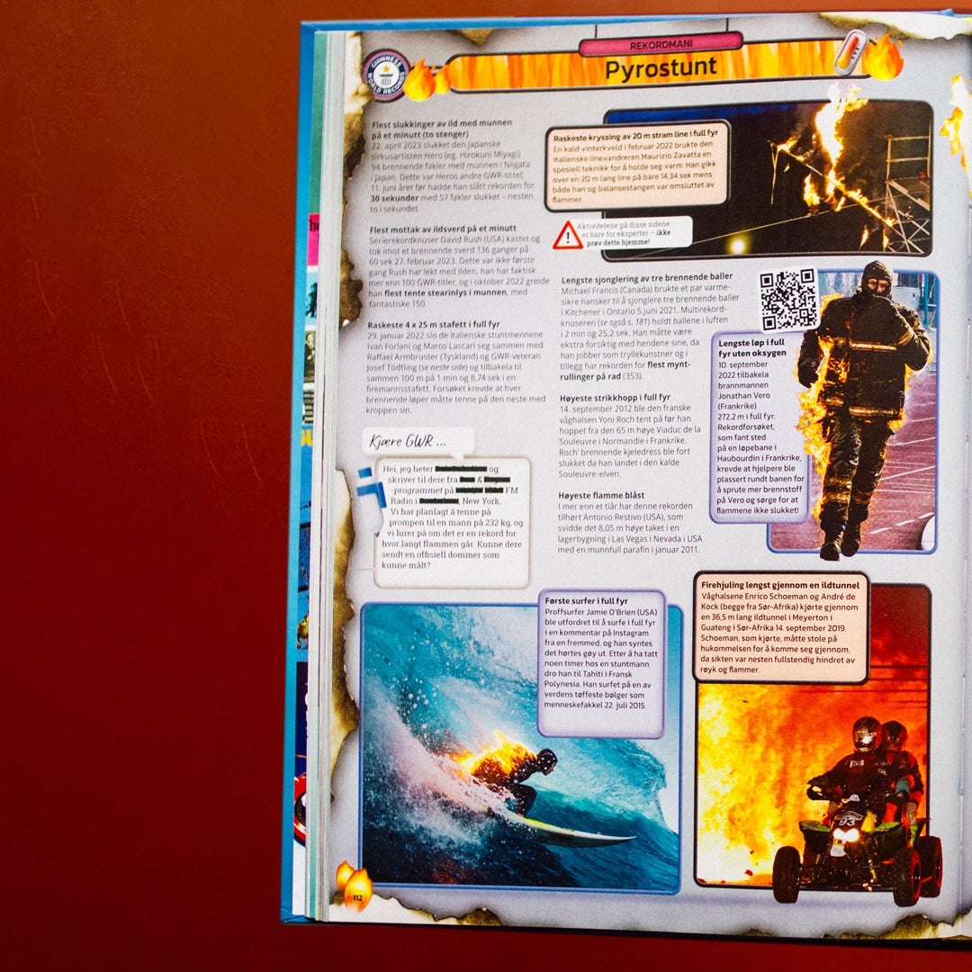 Guinness world records 2025