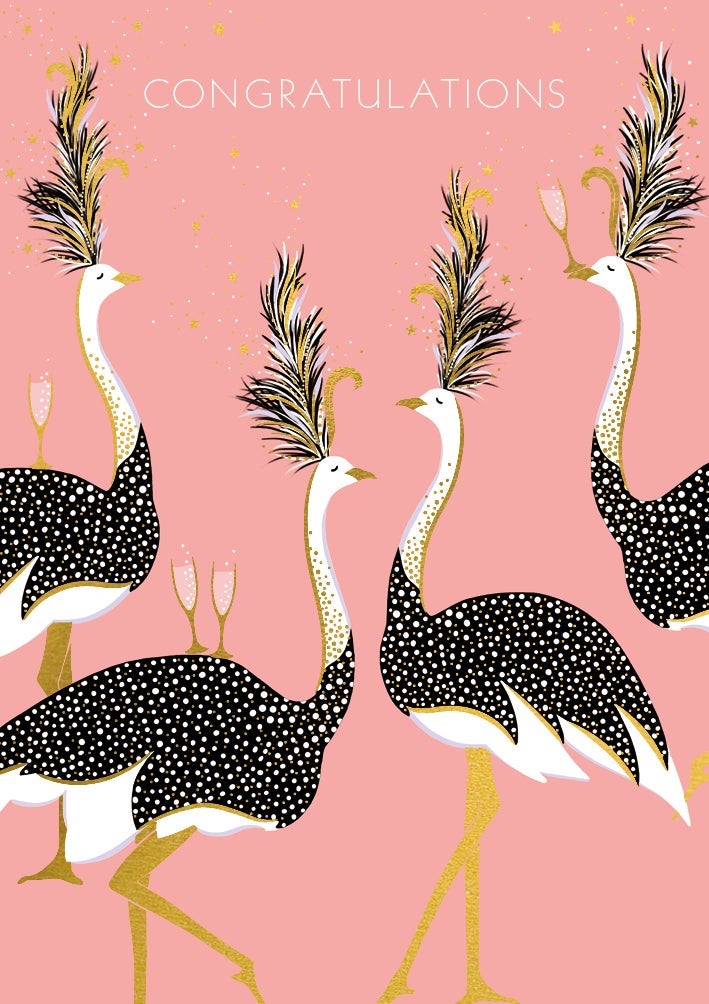 Kort Sara Miller Congratulations Ostriches