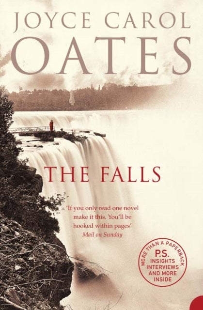 The Falls - a novel