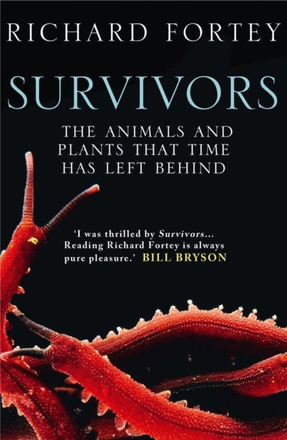 Survivors - The Animals and Plants That Time Has Left Behind
