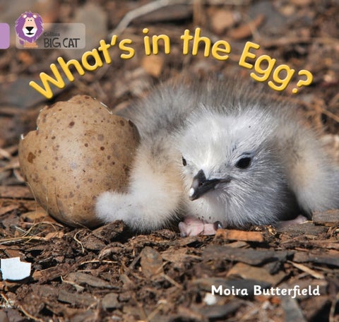 What’s in the Egg? - Band 00/Lilac