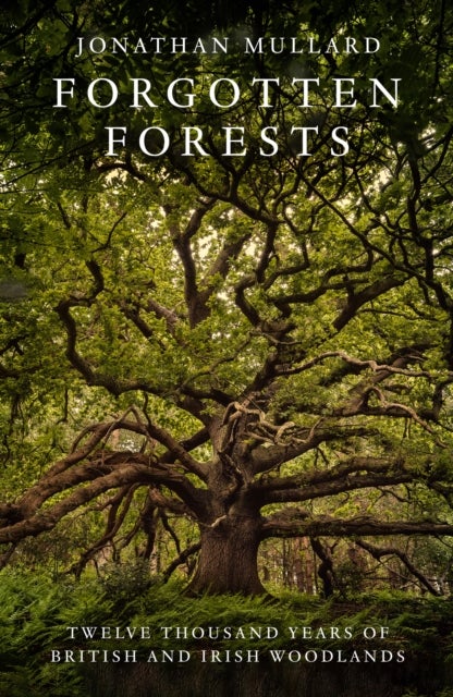 Forgotten Forests - Twelve Thousand Years of British and Irish Woodlands
