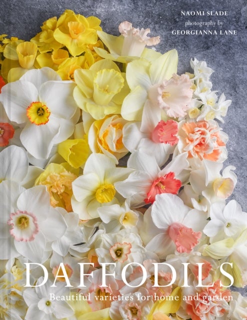 Narcissus - Beautiful Varieties for Home and Garden