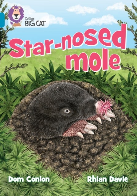 Star-nosed Mole - Band 13/Topaz