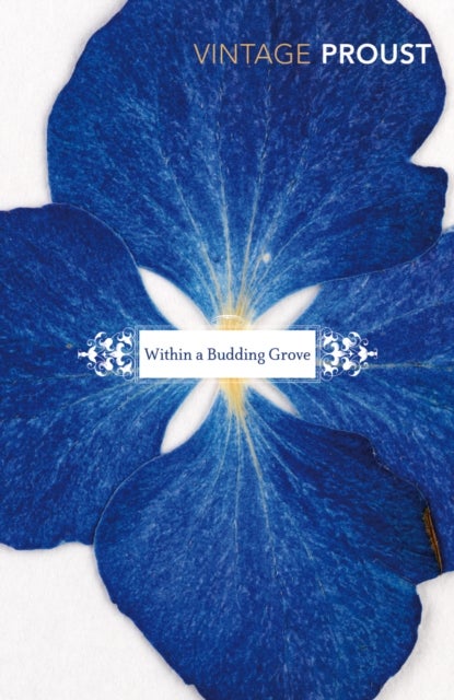 In Search of Lost Time, Vol 2 - Within a Budding Grove