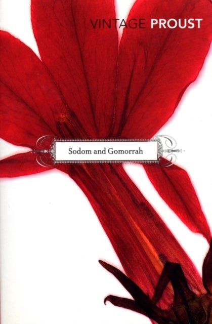 In Search of Lost Time, Vol 4 - Sodom and Gomorrah