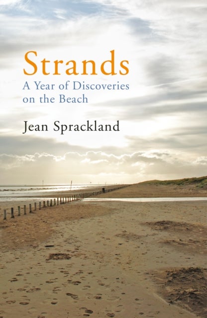 Strands - A Year of Discoveries on the Beach