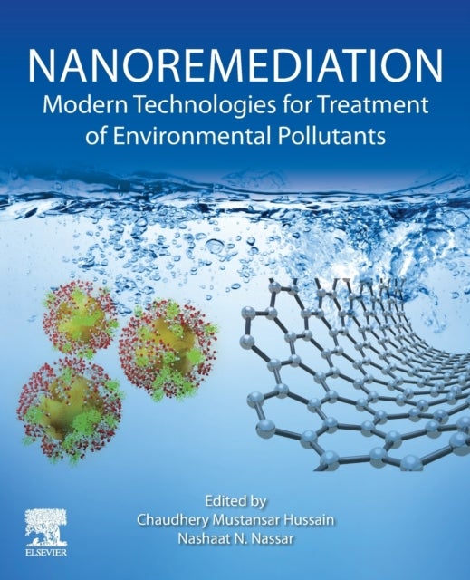 Nanoremediation - Modern Technologies for Treatment of Environmental Pollutants