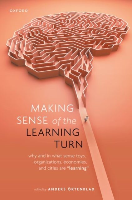 Making Sense of the Learning Turn - Why and In What Sense Toys, Organizations, Economies, and Cities are "Learning"