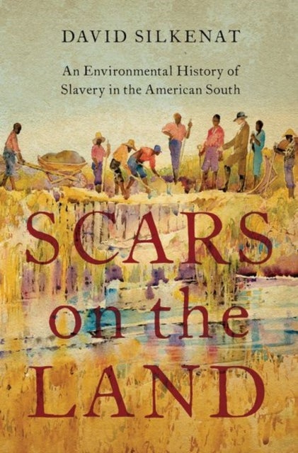 Scars on the Land - An Environmental History of Slavery in the American South