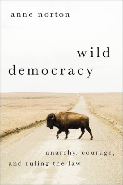 Wild Democracy - Anarchy, Courage, and Ruling the Law