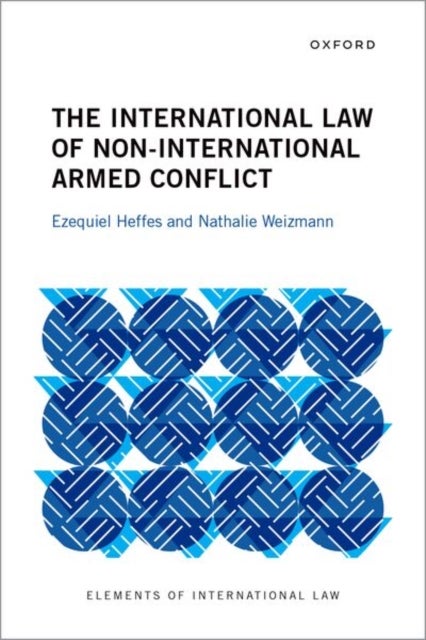 The International Law of Non-International Armed Conflict
