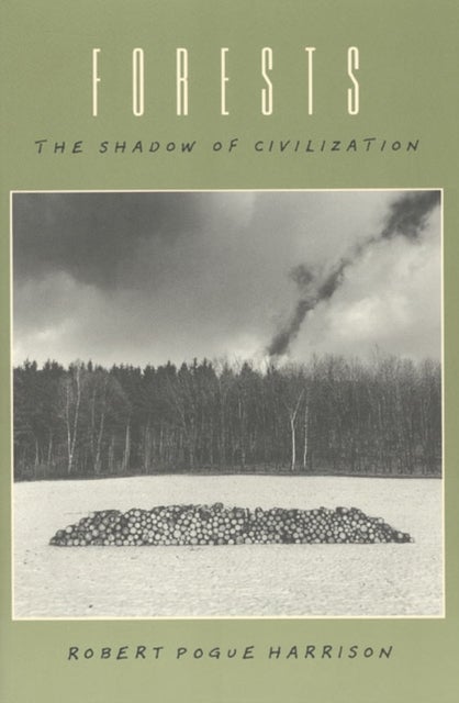 Forests - The Shadow of Civilization