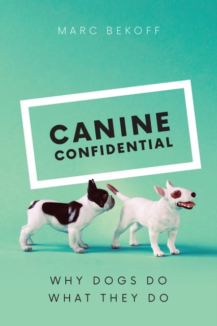 Canine Confidential - Why Dogs Do What They Do