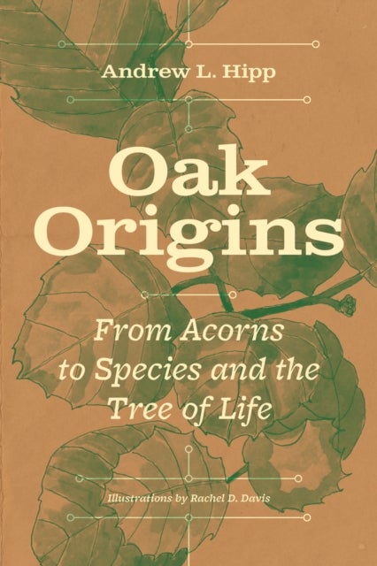 Oak Origins - From Acorns to Species and the Tree of Life