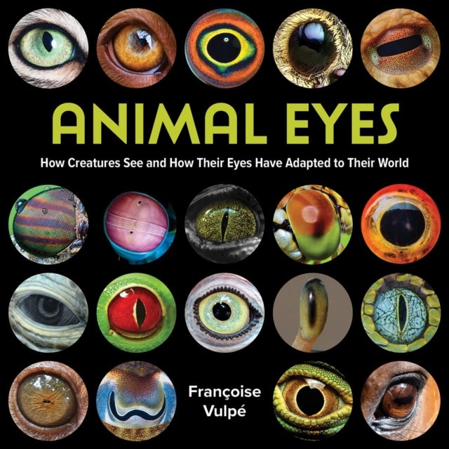 Animal Eyes - How Creatures See and How Their Eyes Have Adapted to Their World
