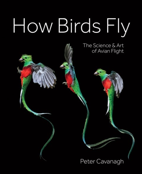 How Birds Fly - The Science and Art of Avian Flight