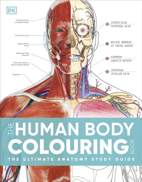 The Human Body Colouring Book - The Ultimate Anatomy Study Guide