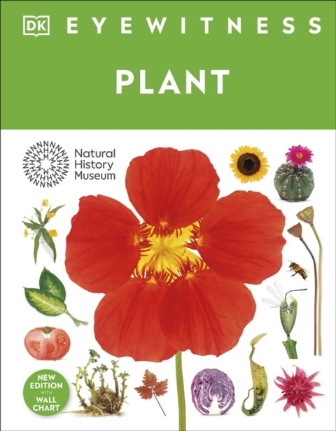 Eyewitness Plant