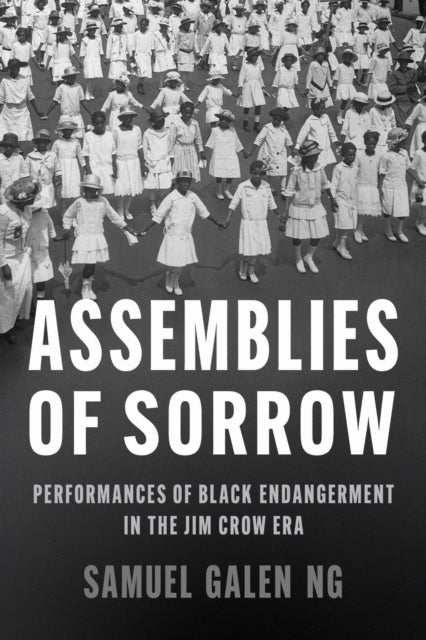 Assemblies of Sorrow - Performances of Black Endangerment in the Jim Crow Era