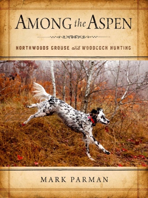 Among the Aspen - Northwoods Grouse and Woodcock Hunting