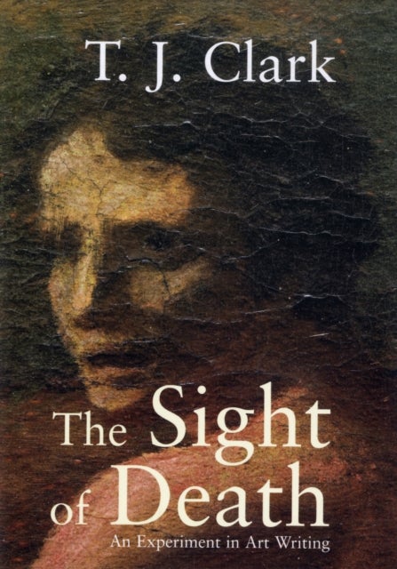 The Sight of Death - An Experiment in Art Writing