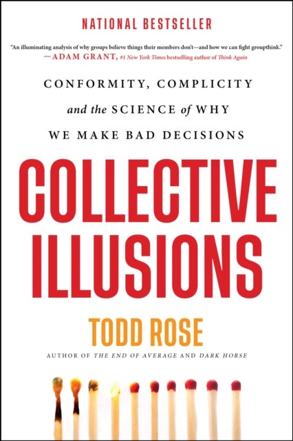 Collective Illusions : Conformity, Complicity, and the Science of Why We Make Bad Decisions - Conformity, Complicity, and the Science of Why We Make Bad Decisions