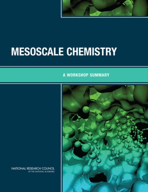 Mesoscale Chemistry - A Workshop Summary