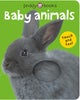 Baby Animals (Bright Baby Touch and Feel)