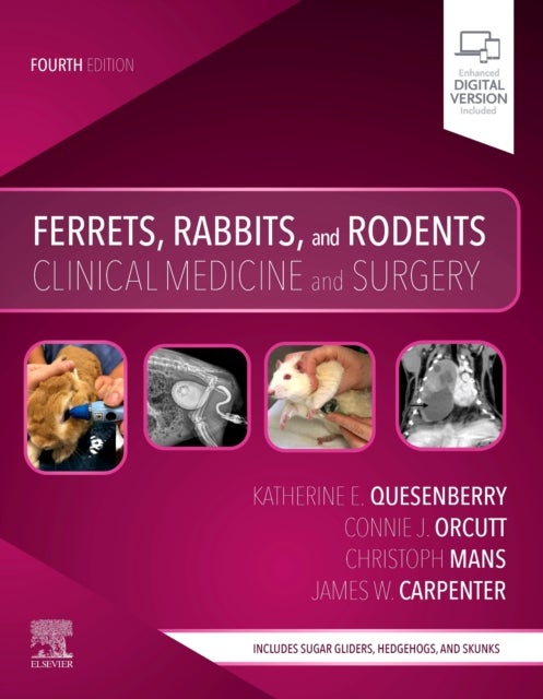 Ferrets, Rabbits, and Rodents - Clinical Medicine and Surgery
