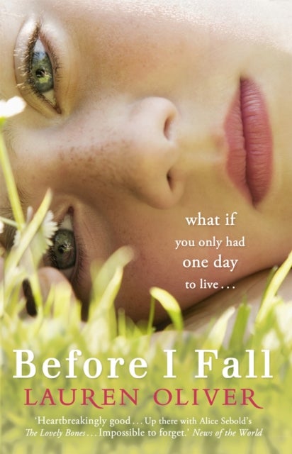 Before I Fall - From the bestselling author of Panic, soon to be a major Amazon Prime series