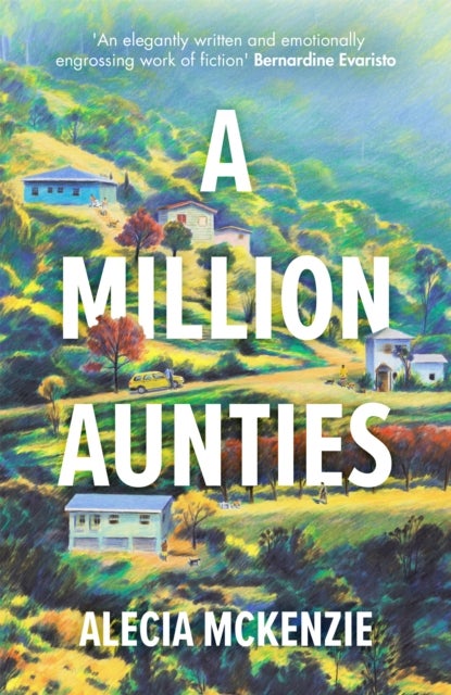 A Million Aunties - An emotional, feel-good novel about friendship, community and family