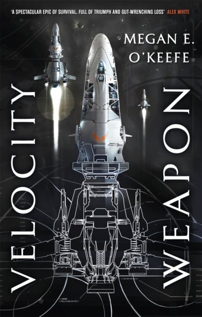 Velocity Weapon - Book One of The Protectorate