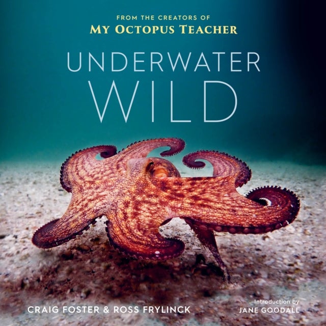 Underwater Wild - My Octopus Teacher's Extraordinary World