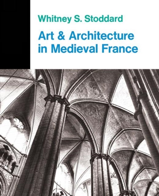 Art And Architecture In Medieval France - Medieval Architecture, Sculpture, Stained Glass, Manuscripts, The Art Of The Church Treasuries
