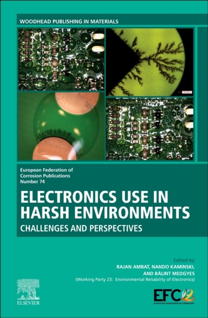 Electronics Use in Harsh Environments