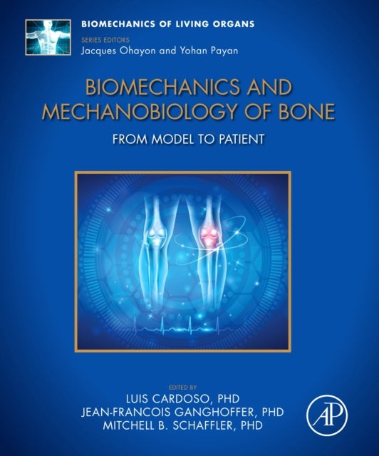 Biomechanics and Mechanobiology of Bone