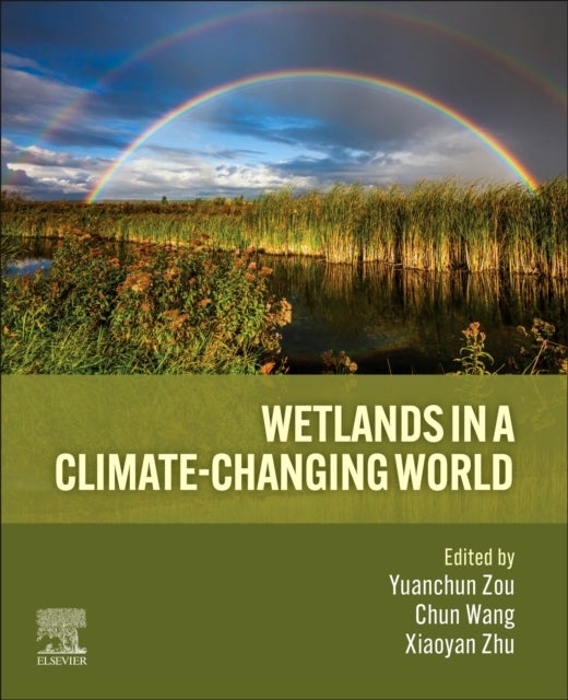 Wetlands in a Climate-Changing World