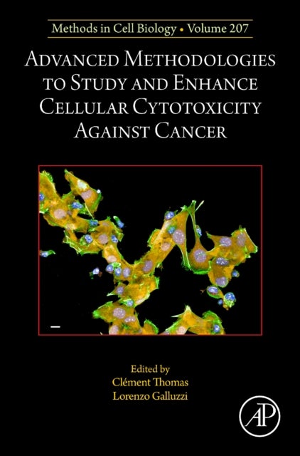Advanced Methodologies to Study and Enhance Cellular Cytotoxicity Against Cancer