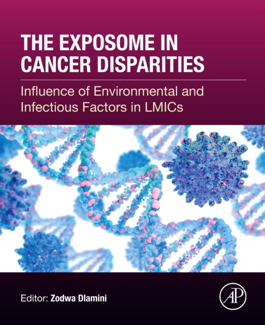 The Exposome in Cancer Disparities - Influence of Environmental and Infectious Factors in LMICs