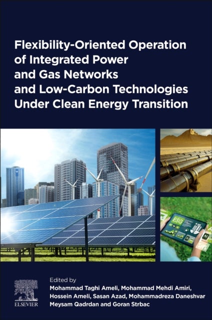Flexibility-Oriented Operation of Integrated Power and Gas Networks and Low-Carbon Technologies Under Clean Energy Transition