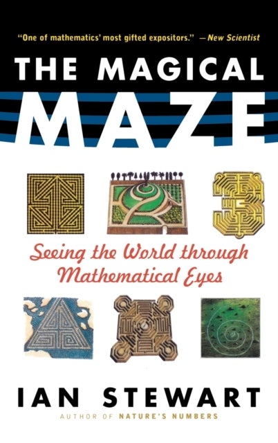 The Magical Maze - Seeing the World Through Mathematical Eyes