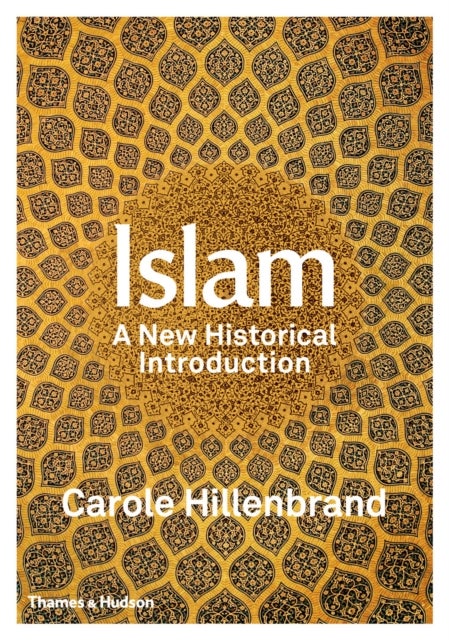 Islam - A New Historical Introduction
